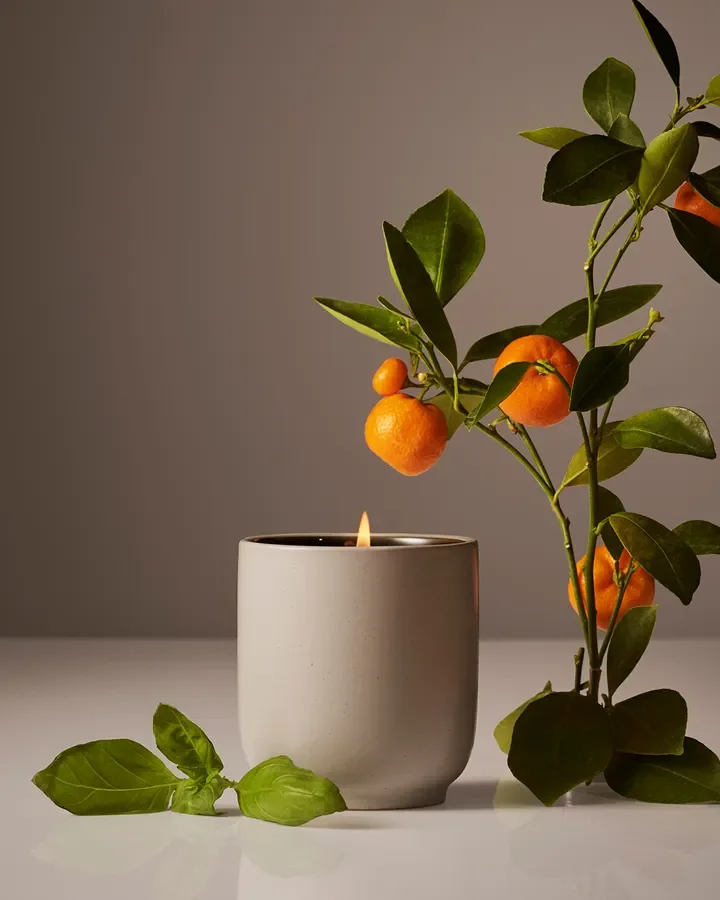 Courteney Cox’s Sold-Out Homecourt Scent Is Back—and My Kitchen Is Thrilled