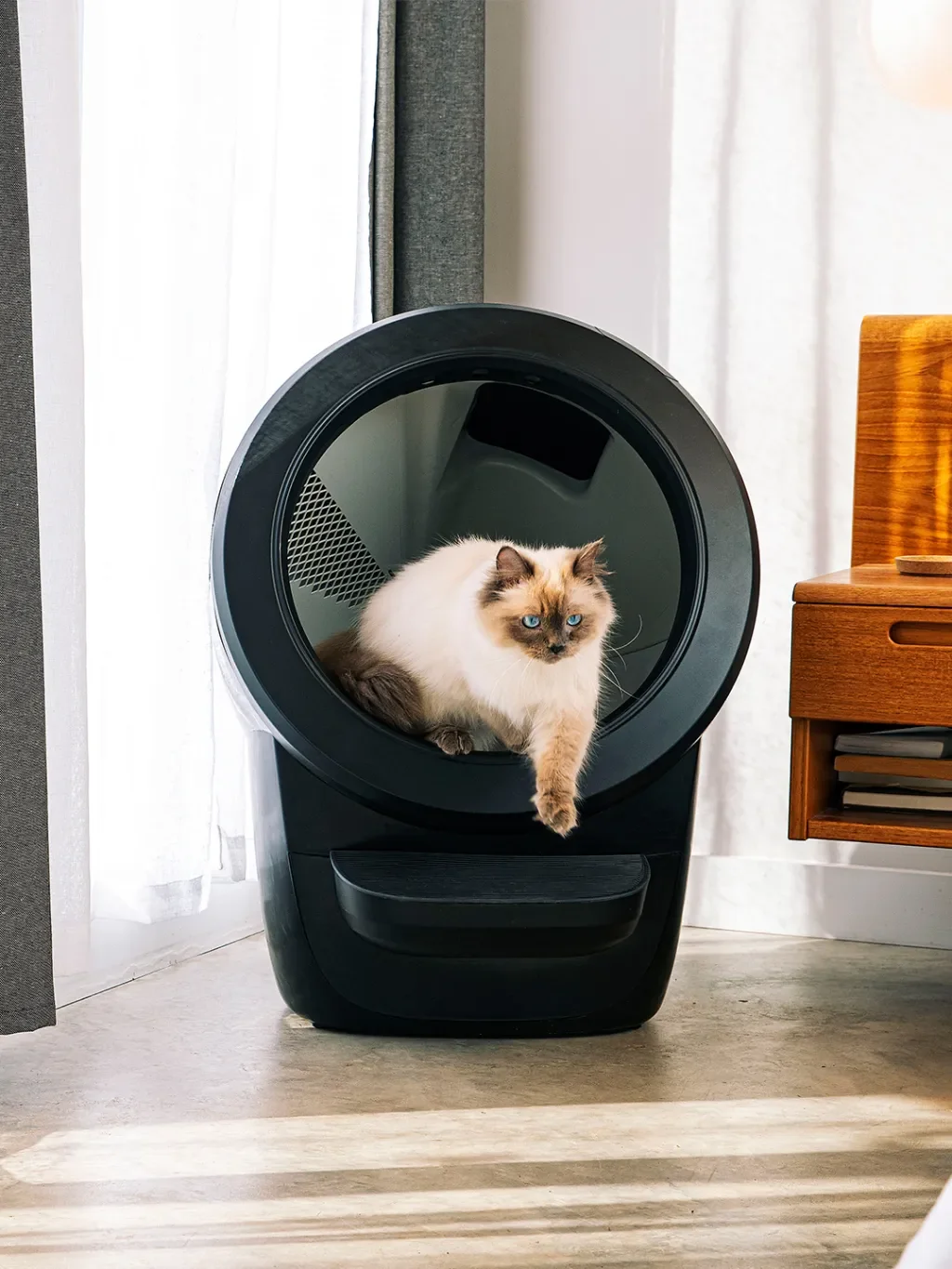 My Self-Cleaning Litter Box Is So Chic, It Lives in My Living Room Now