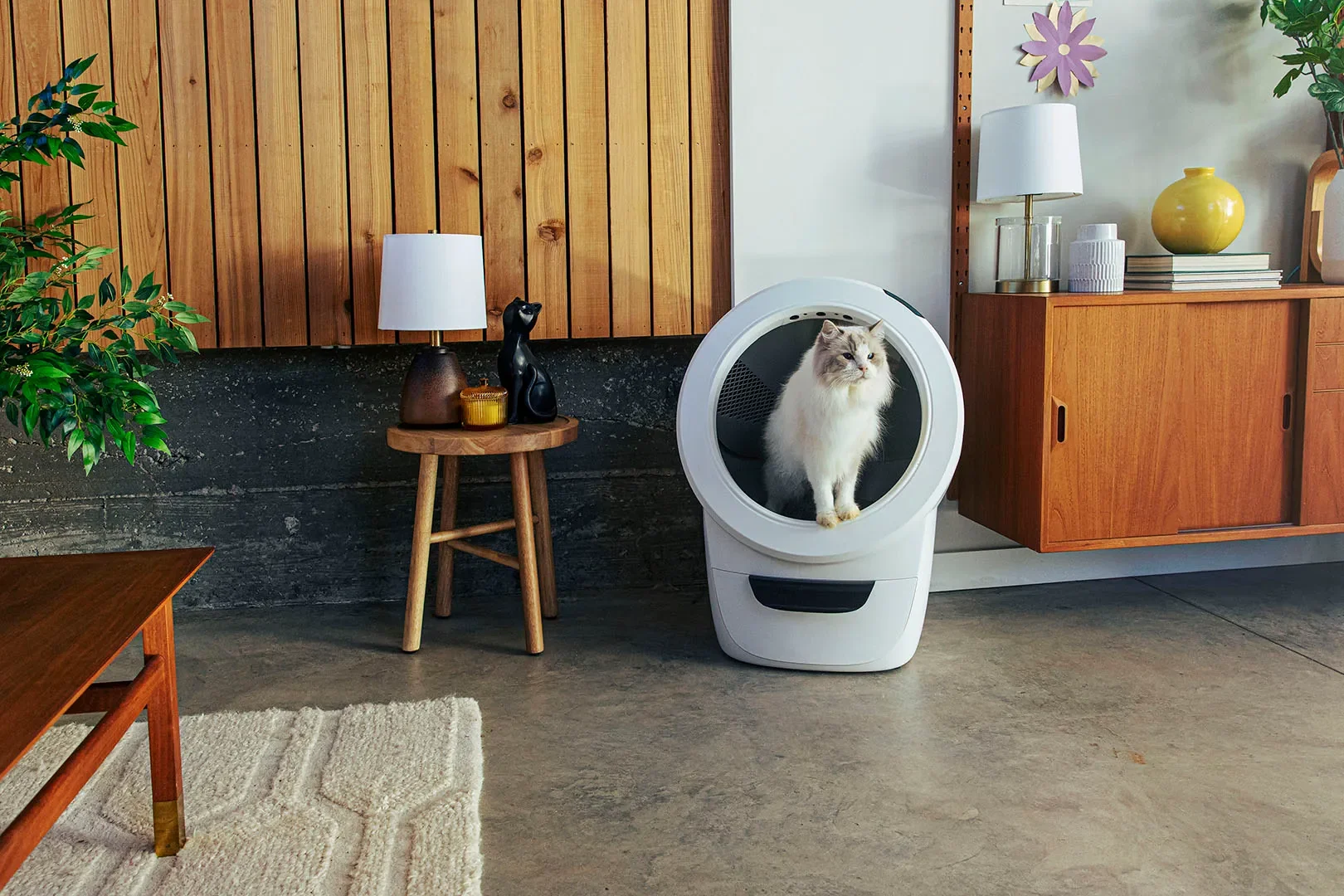 My Self-Cleaning Litter Box Is So Chic, It Lives in My Living Room Now