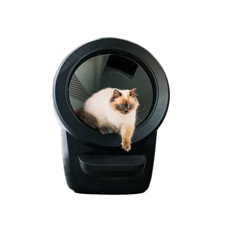 My Self-Cleaning Litter Box Is So Chic, It Lives in My Living Room Now