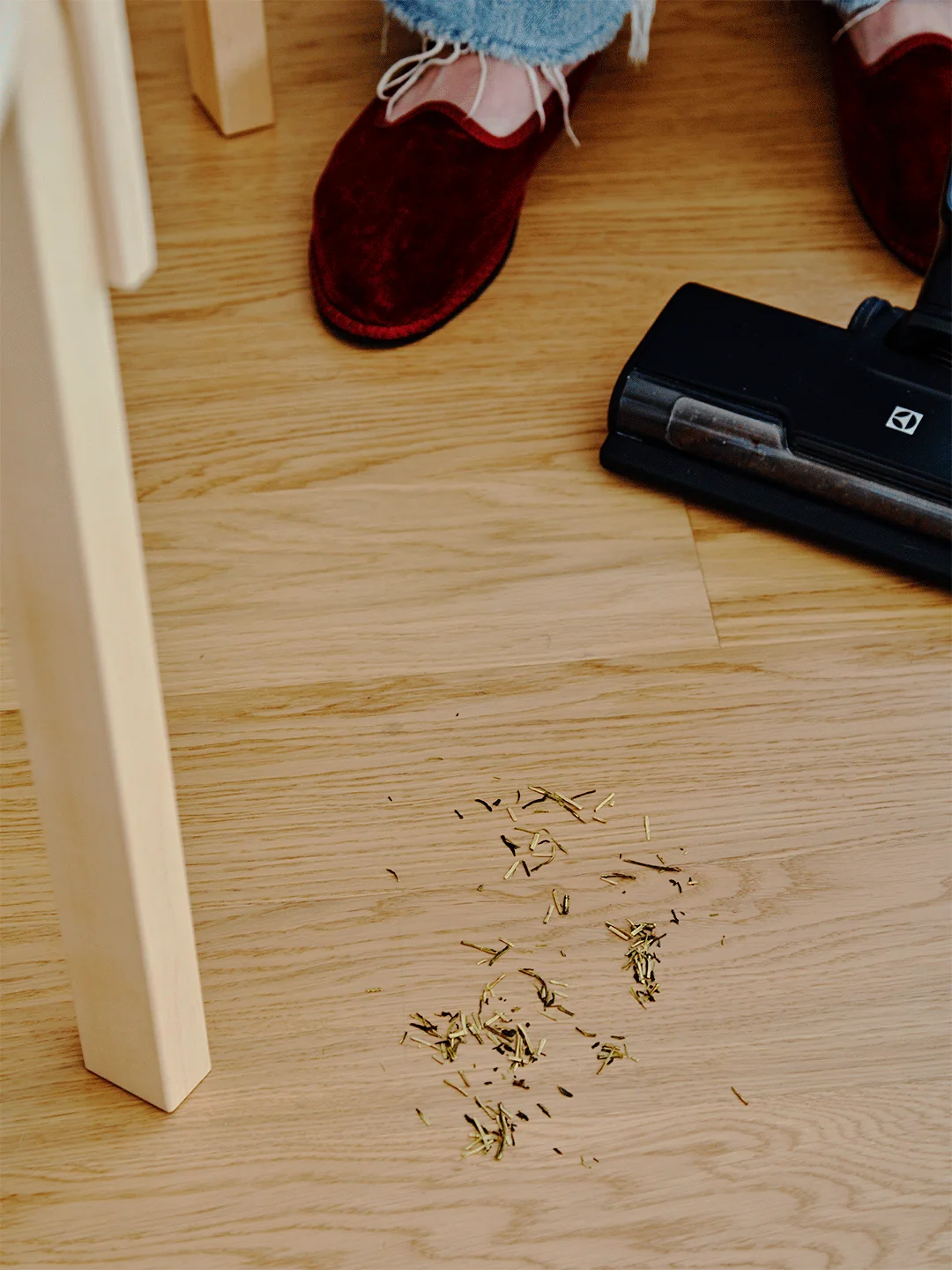 A Cordless Swedish Vacuum That's Part Power Tool, Part Pet-Hair Therapist
